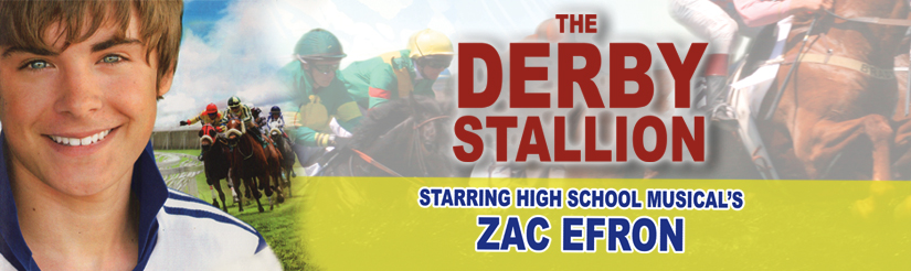 Derby Stallion Web Banner